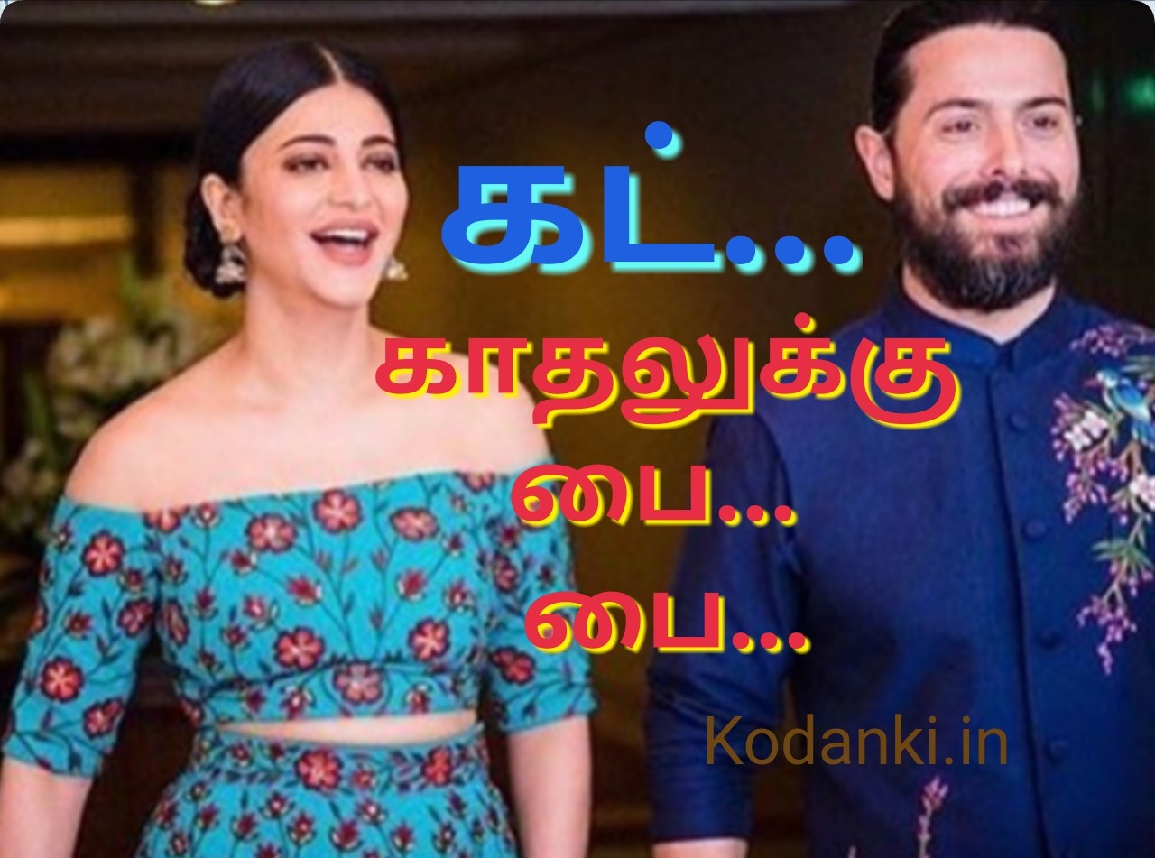 கமல் மகள் ஸ்ருதிஹாசன் காதலுக்கு குட் பை சொன்னார்…!