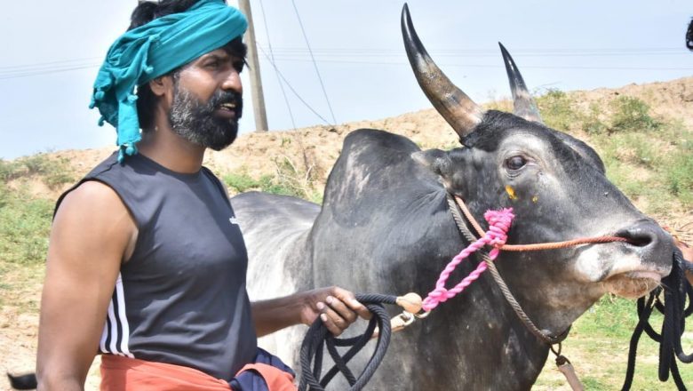 ஊரடங்கு நேரத்தில் ஜல்லிக்கட்டு காளை கருப்பனோடு ஜாலியாக வலம் வரும் சூரி
