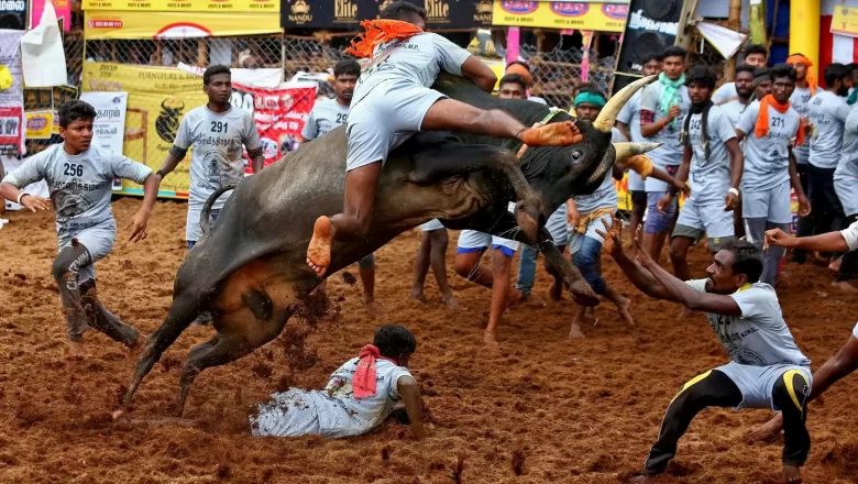 உலக புகழ்பெற்ற அலங்காநல்லூரில் ஜல்லிக்கட்டு போட்டி தொடங்கியது