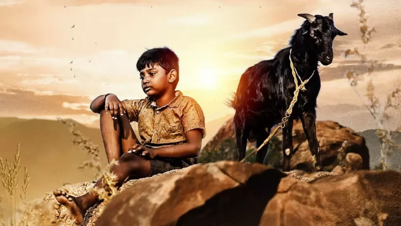 சர்வதேச அந்தஸ்து பெற்ற ‘கிடா’ திரைப்படம் !