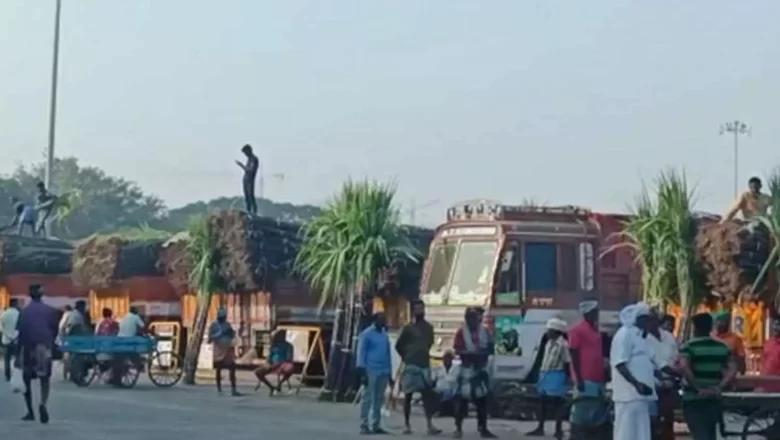 பொங்கல் பண்டிகை- கோயம்பேட்டில் சிறப்பு காய்கறி சந்தை!